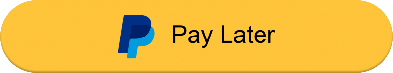Zahlungsmethode 3 paypal pay later button 1